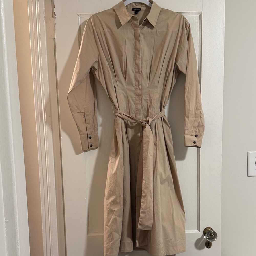Ann Taylor Beige Long Sleeve Dress